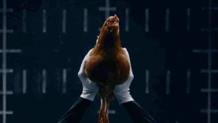 12.gif